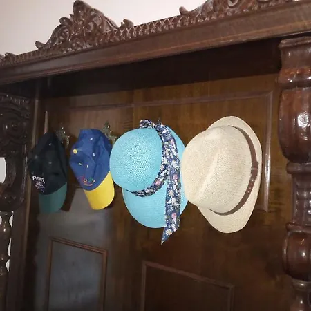 Casa Puccini *